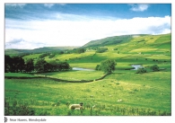 Near Hawes, Wensleydale postcards